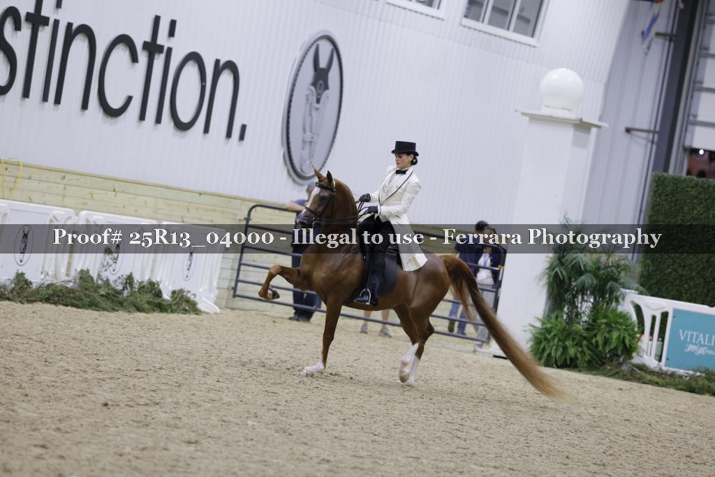 Proof 25R13_04000