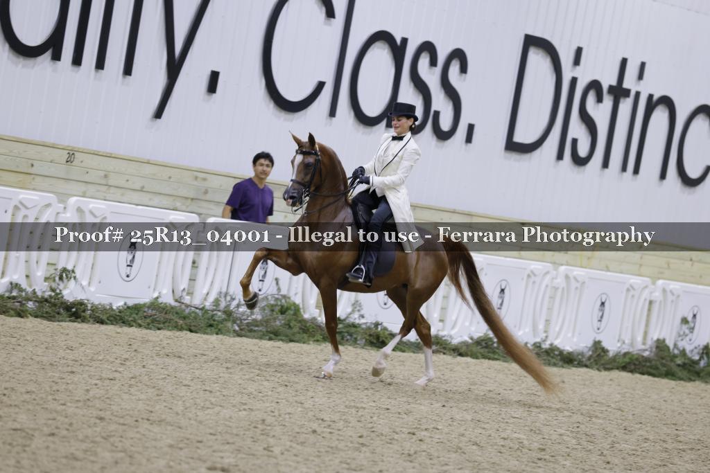 Proof 25R13_04001