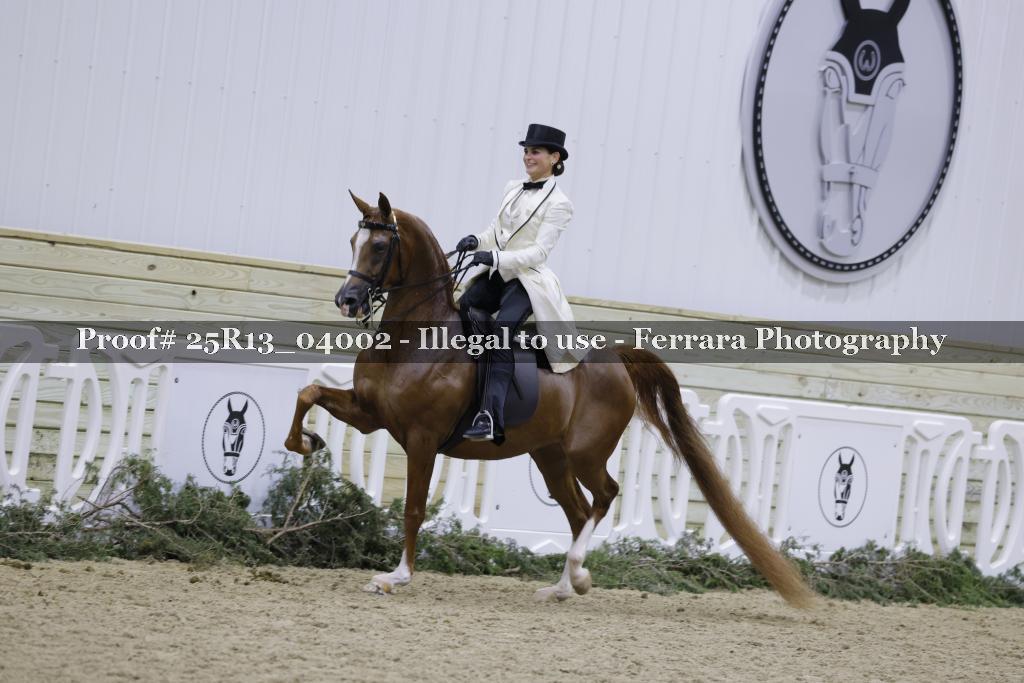 Proof 25R13_04002