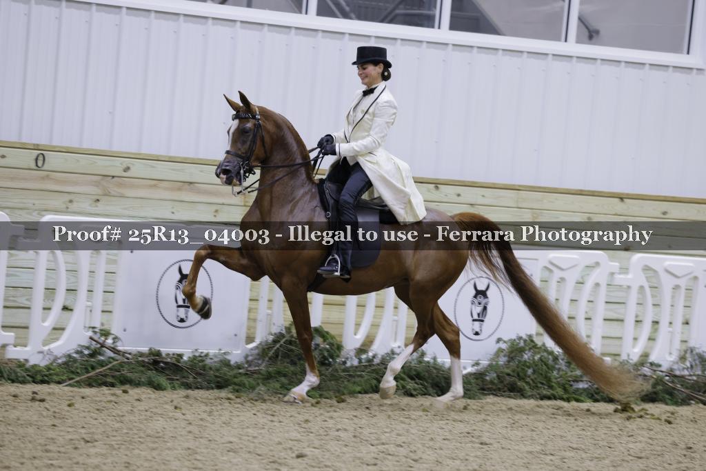Proof 25R13_04003