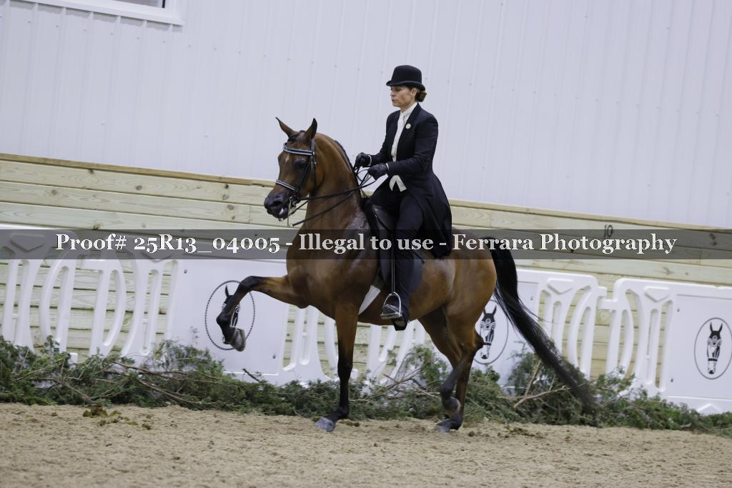 Proof 25R13_04005