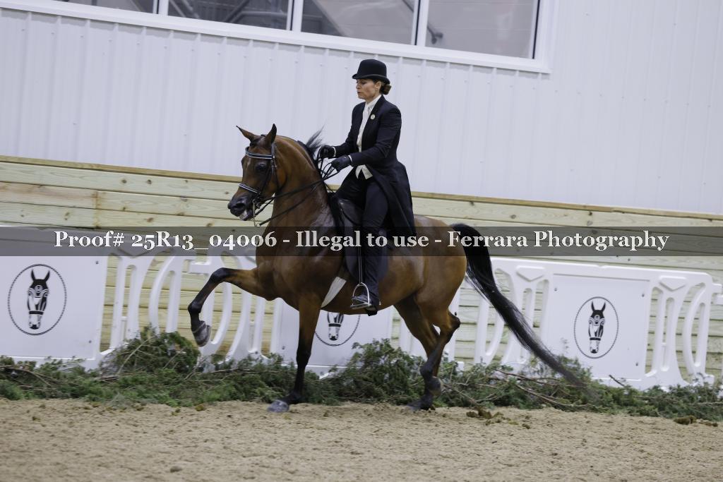 Proof 25R13_04006