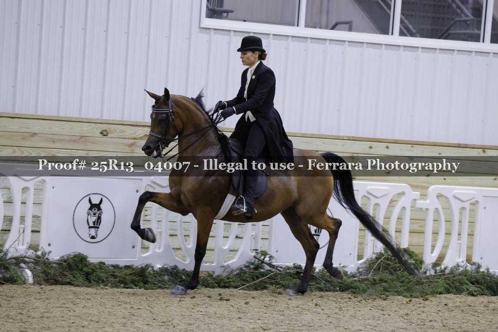 Proof 25R13_04007