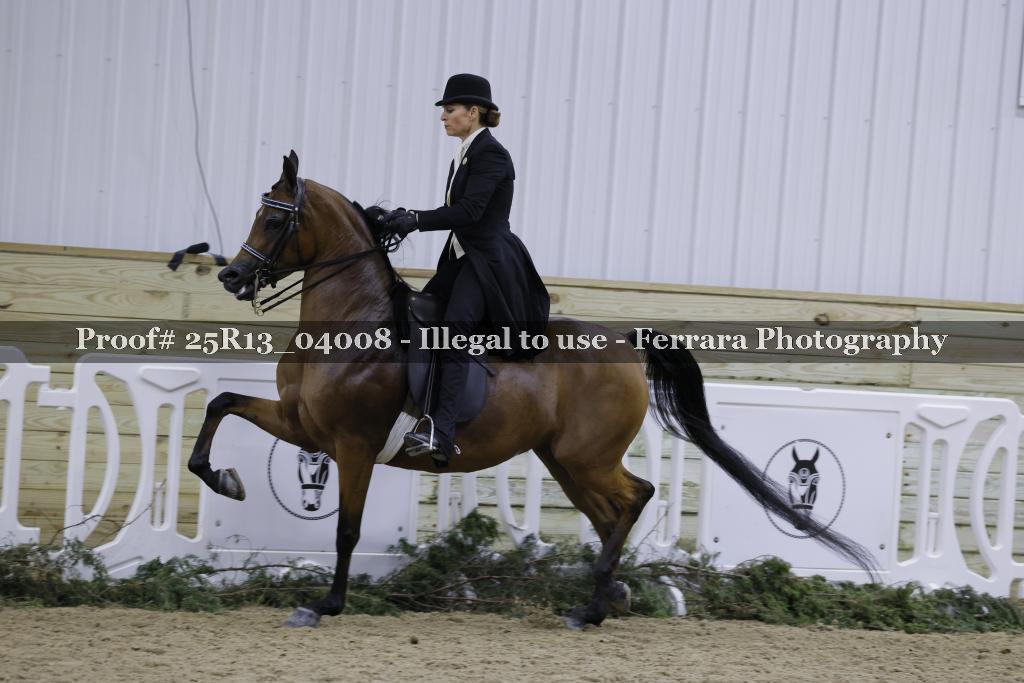 Proof 25R13_04008