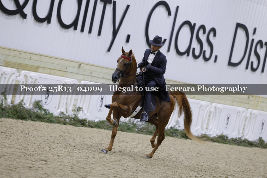 Proof 25R13_04009