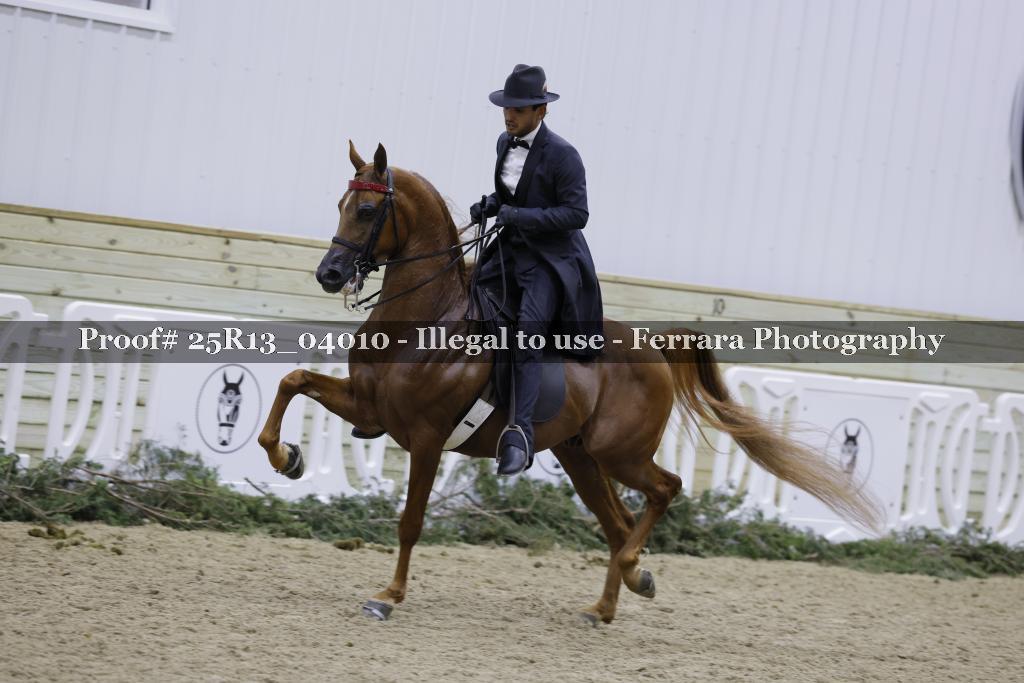 Proof 25R13_04010