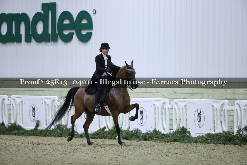 Proof 25R13_04011