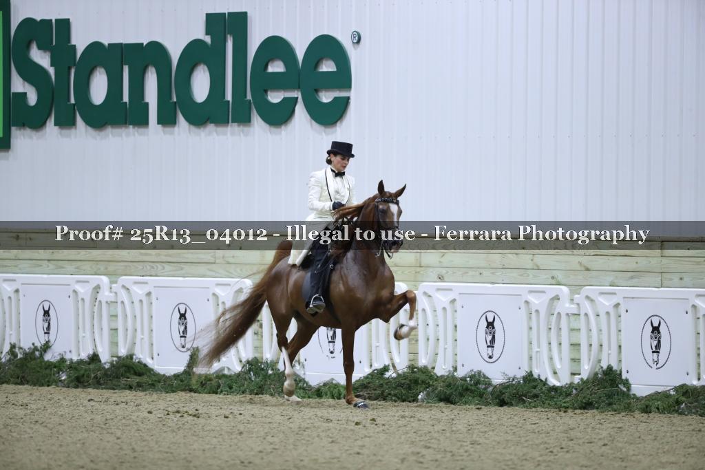Proof 25R13_04012