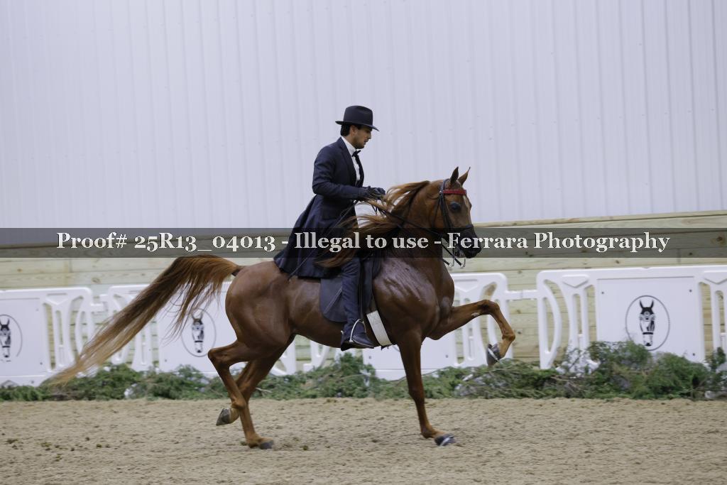 Proof 25R13_04013