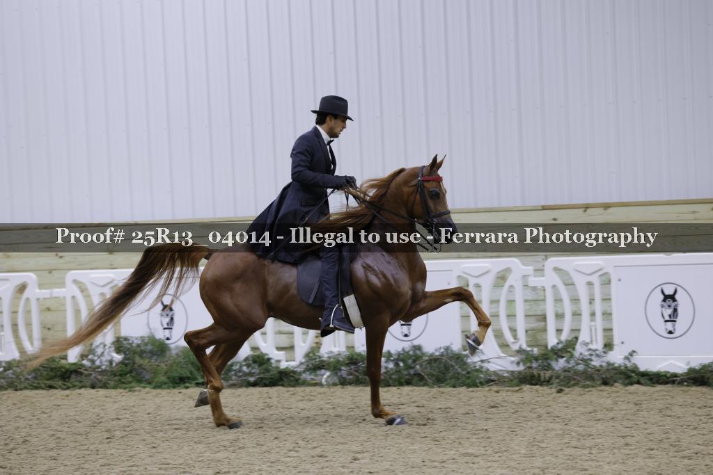 Proof 25R13_04014