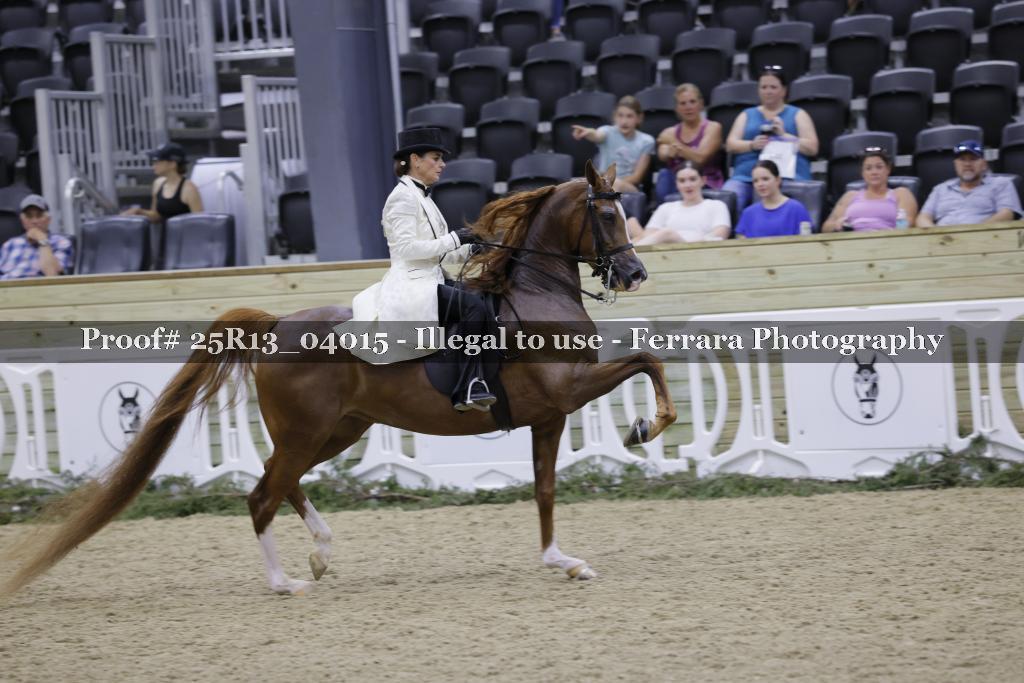 Proof 25R13_04015