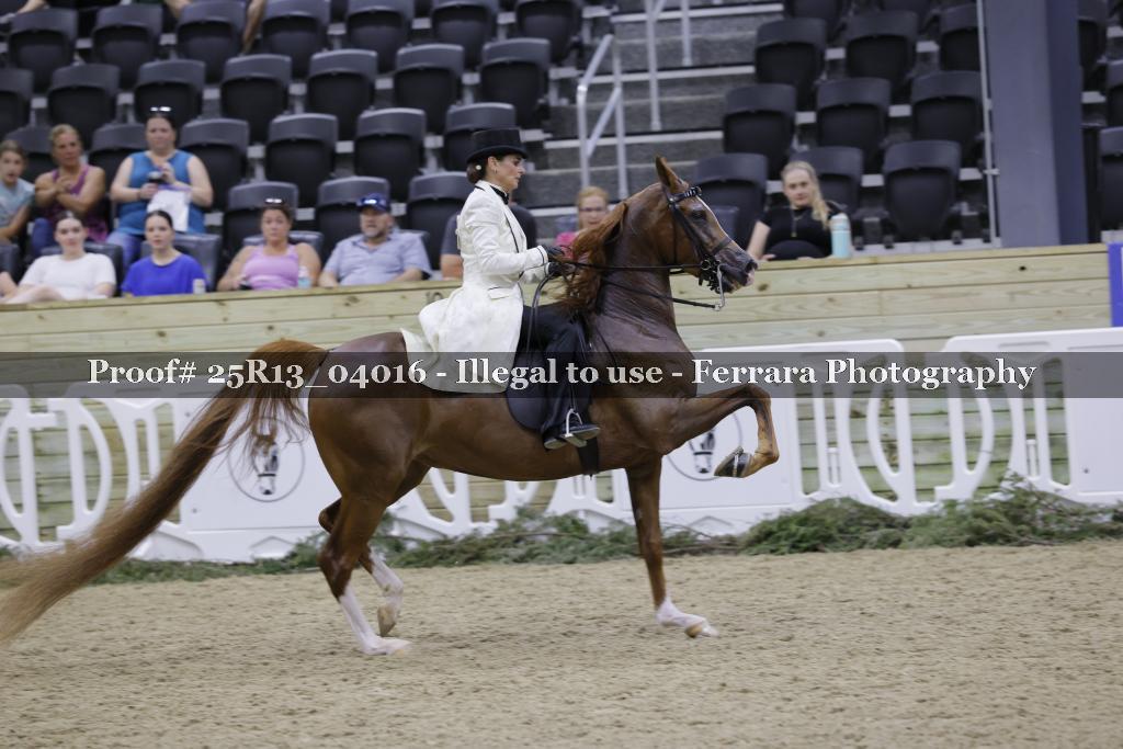 Proof 25R13_04016