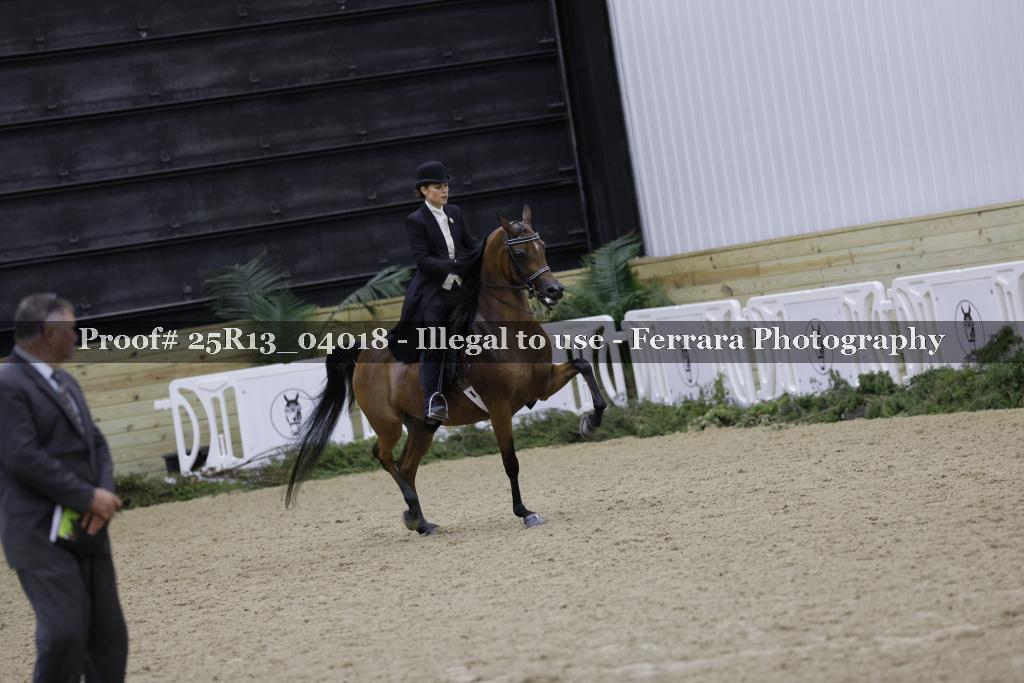 Proof 25R13_04018