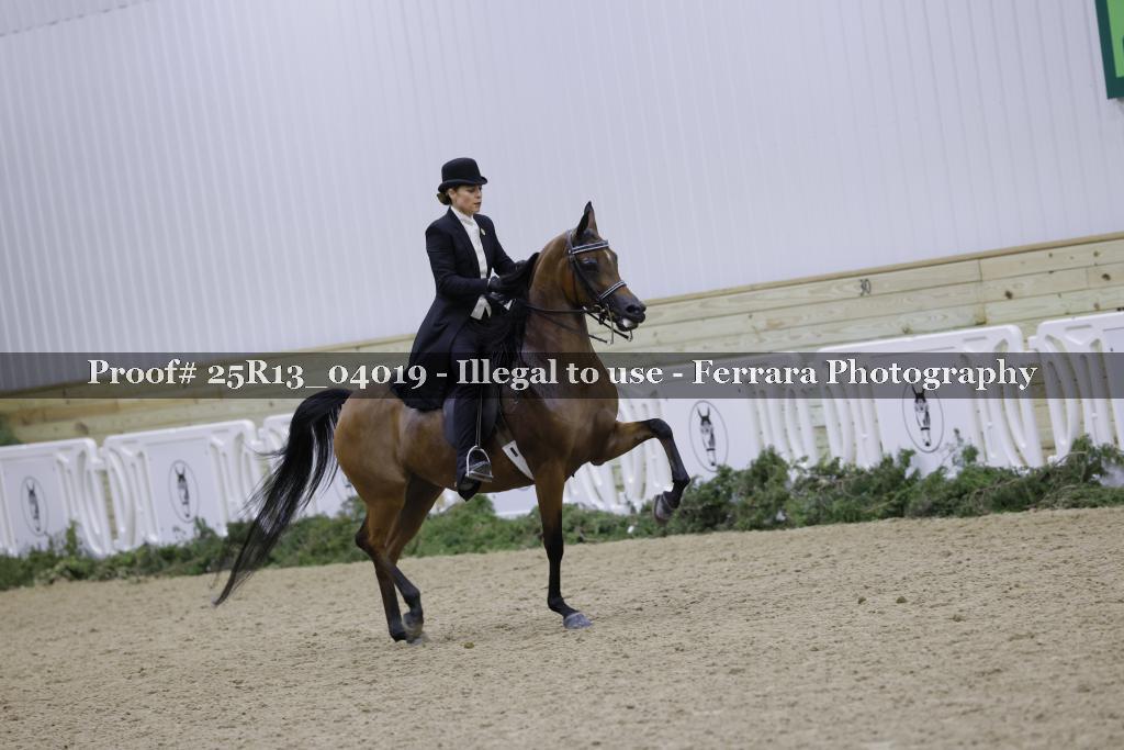 Proof 25R13_04019