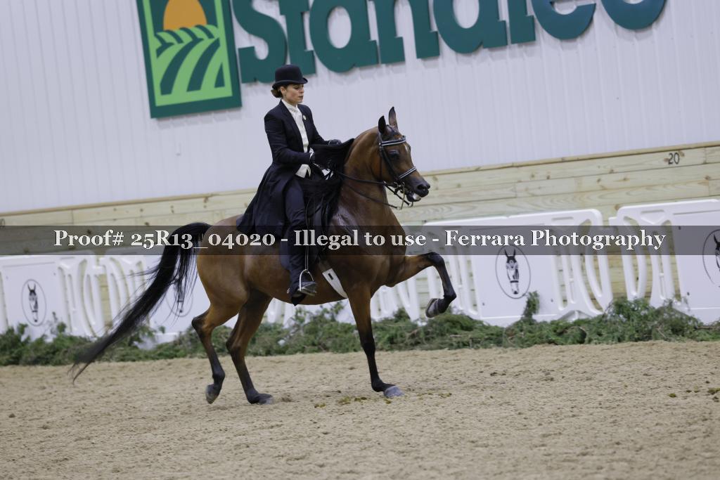 Proof 25R13_04020