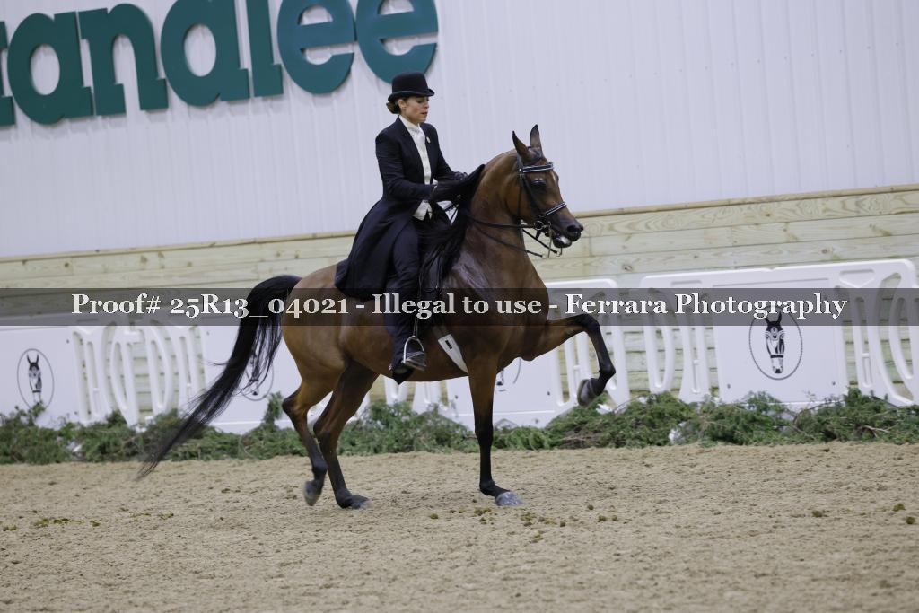 Proof 25R13_04021
