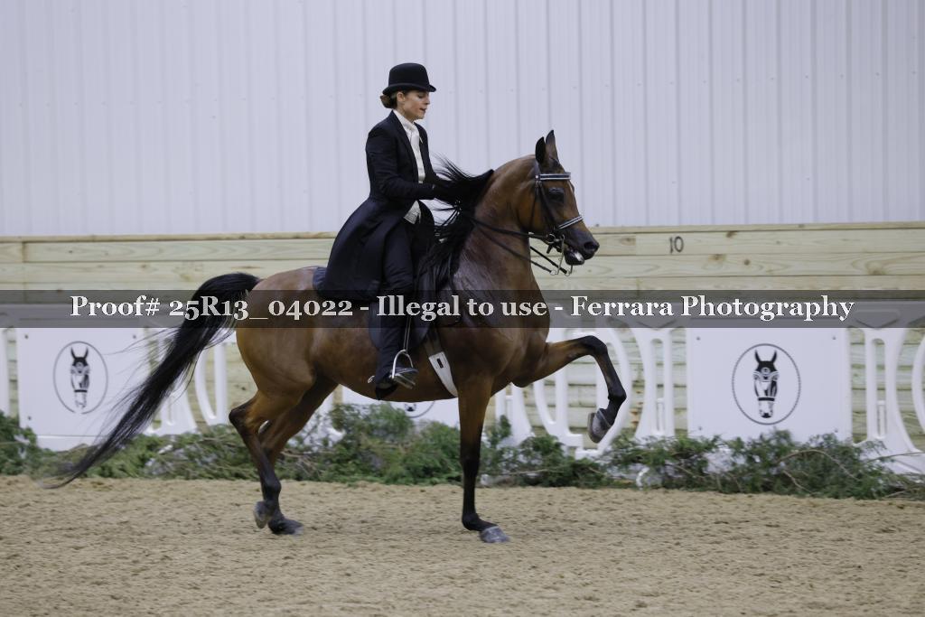 Proof 25R13_04022