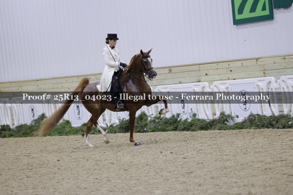 Proof 25R13_04023