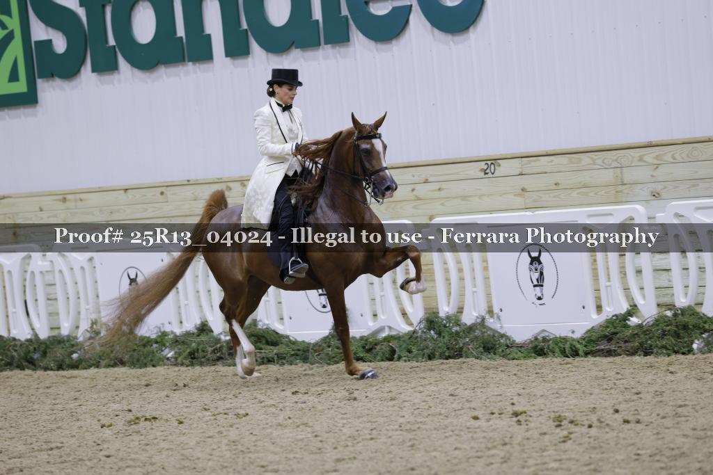 Proof 25R13_04024