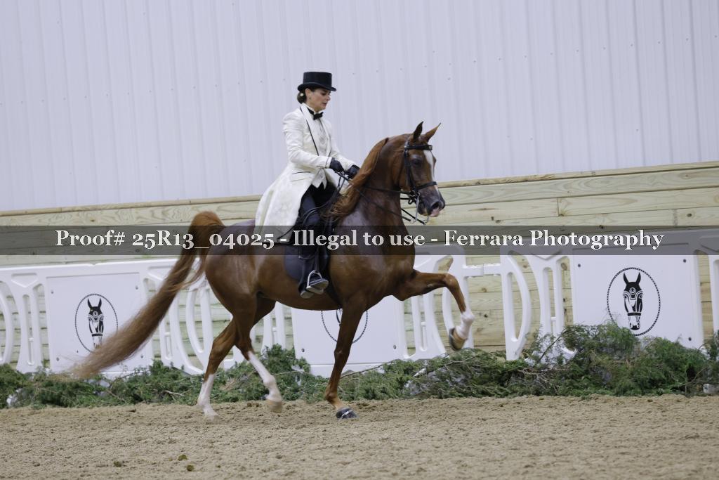 Proof 25R13_04025