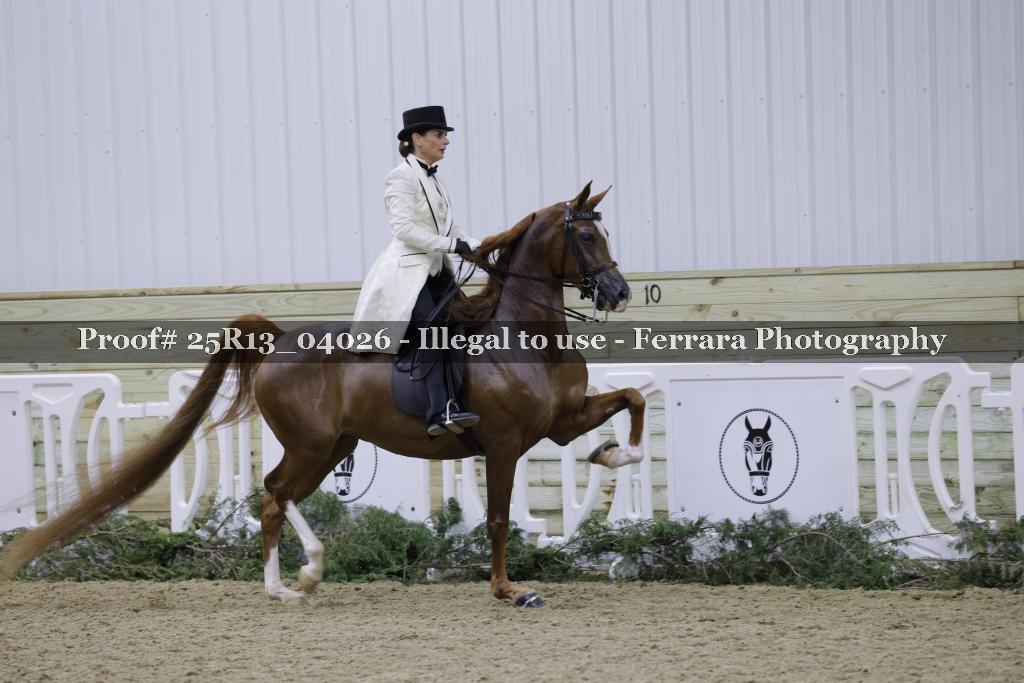 Proof 25R13_04026