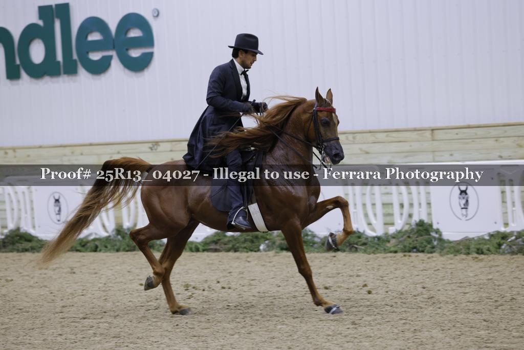 Proof 25R13_04027