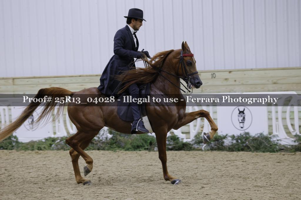 Proof 25R13_04028