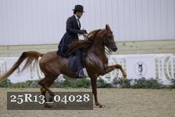 25R13_04028 proof