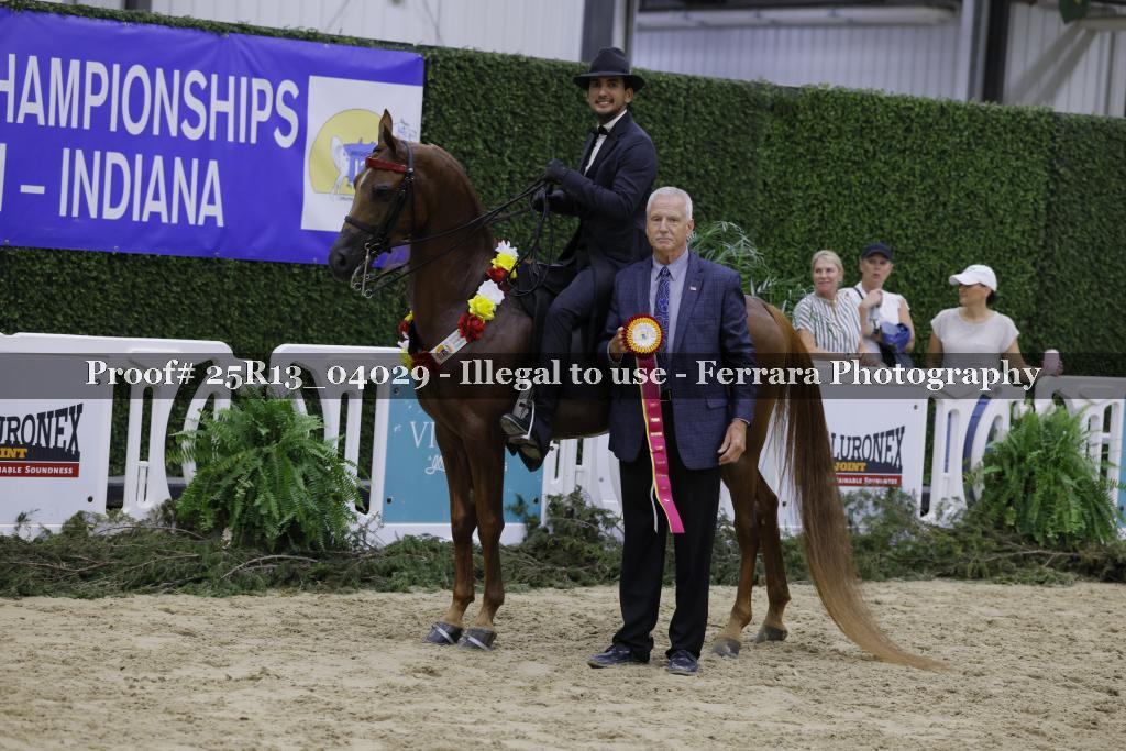 Proof 25R13_04029