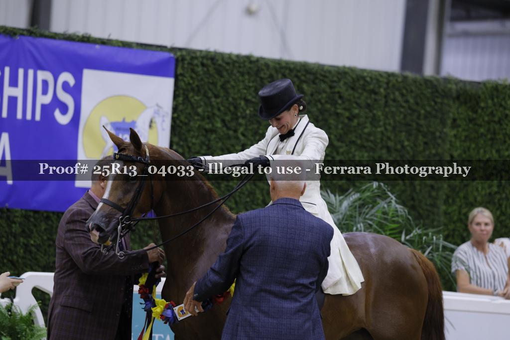 Proof 25R13_04033
