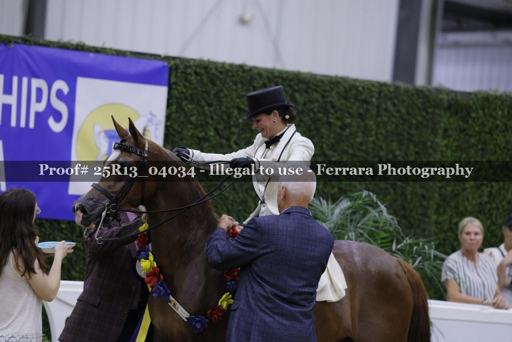 Proof 25R13_04034
