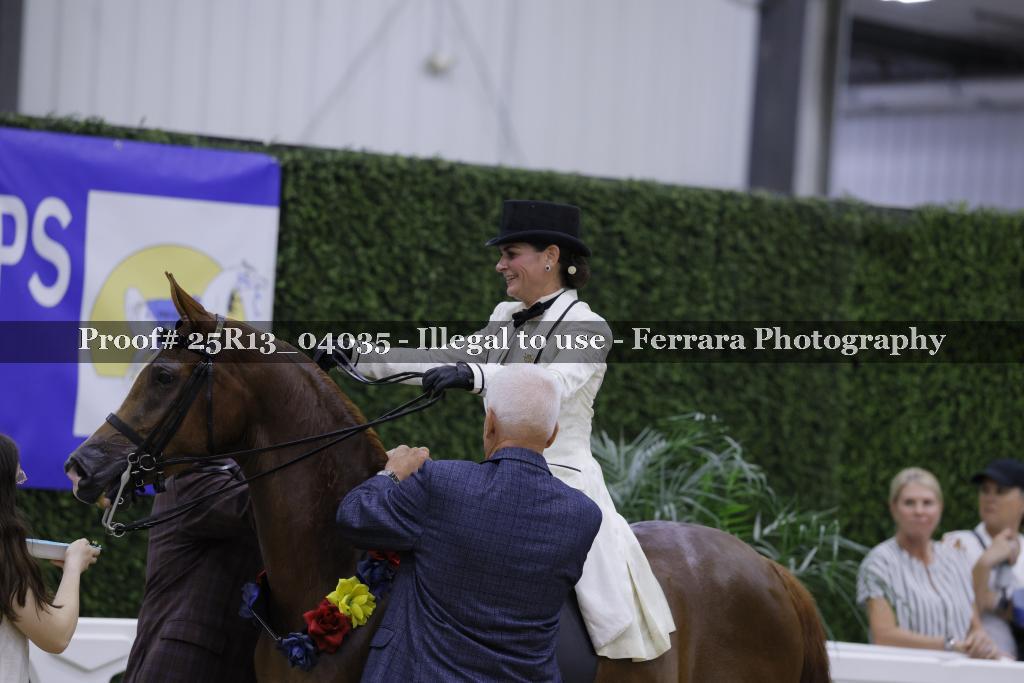 Proof 25R13_04035