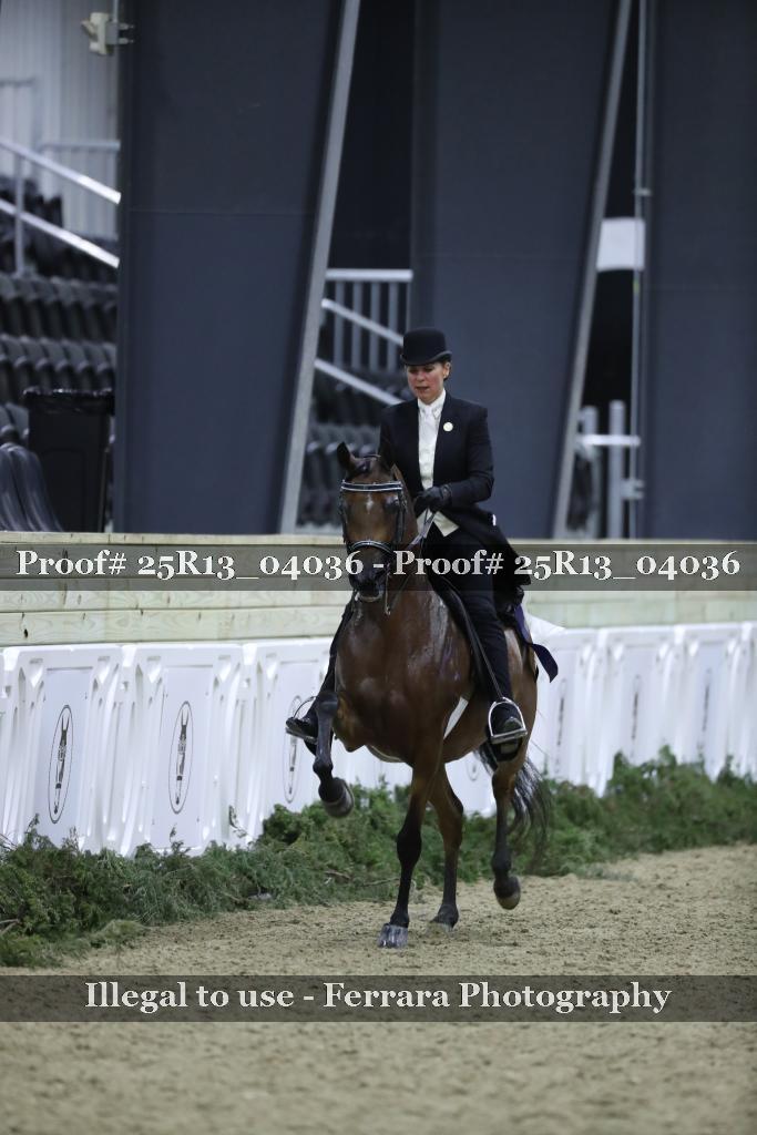 Proof 25R13_04036