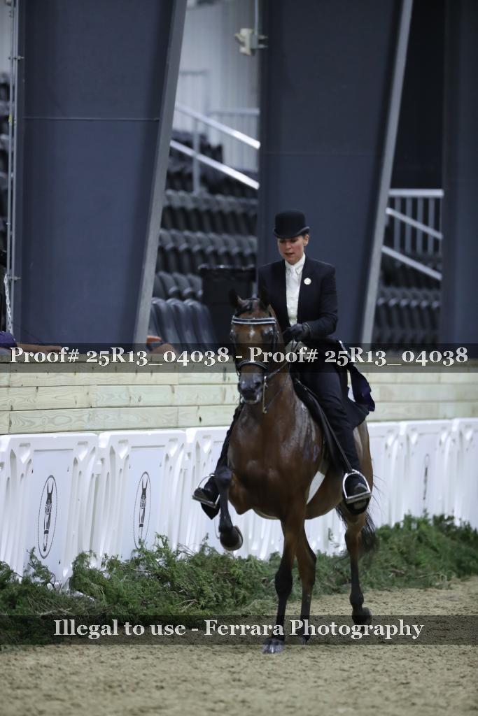 Proof 25R13_04038
