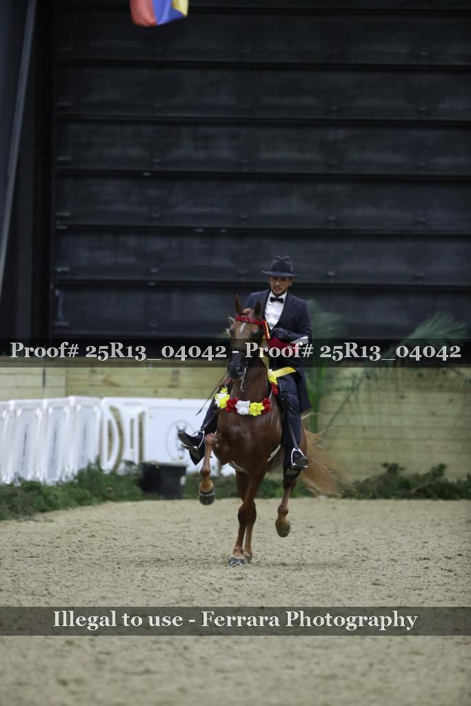 Proof 25R13_04042