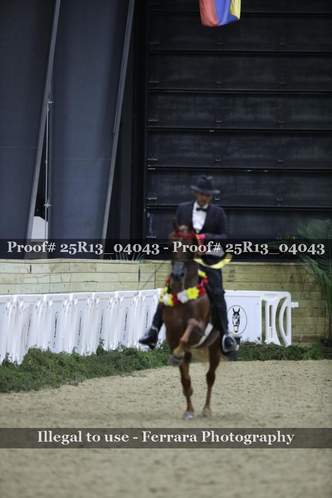 Proof 25R13_04043