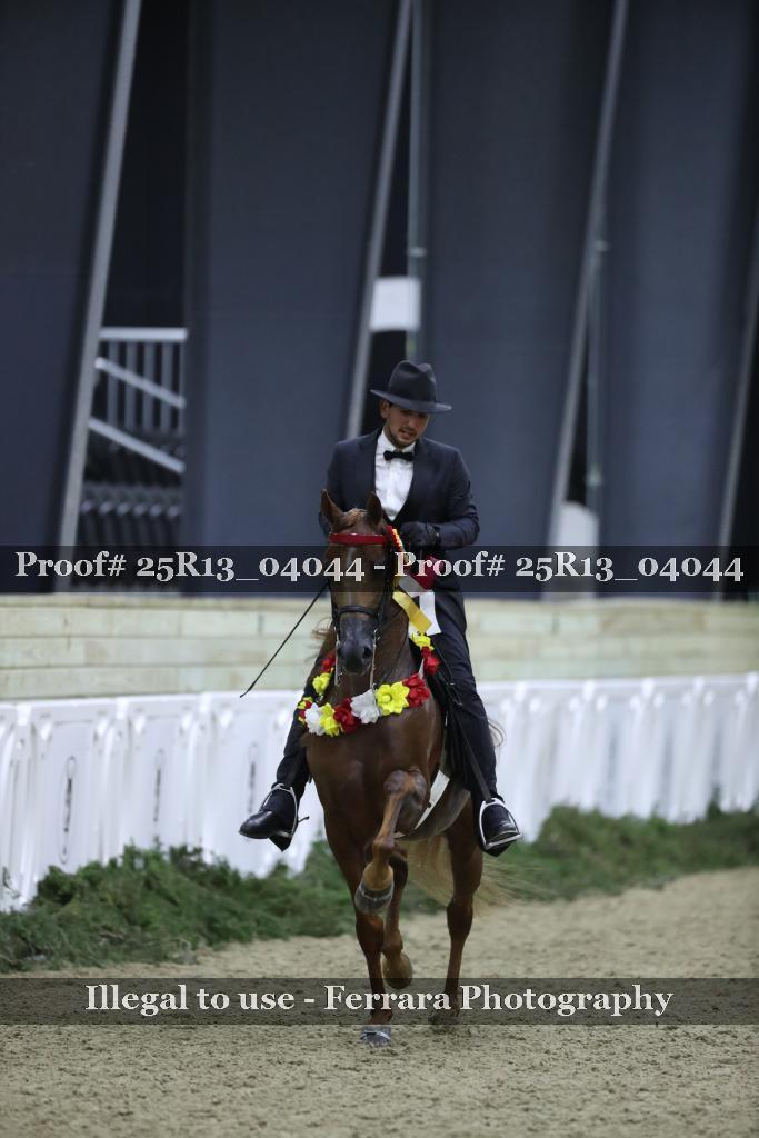 Proof 25R13_04044