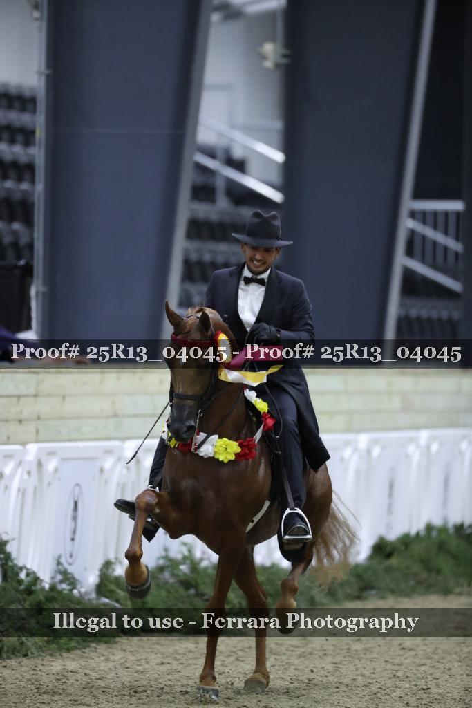 Proof 25R13_04045