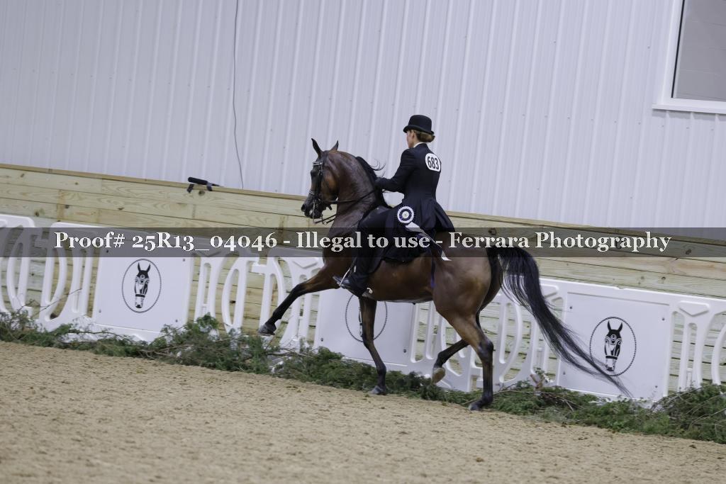 Proof 25R13_04046