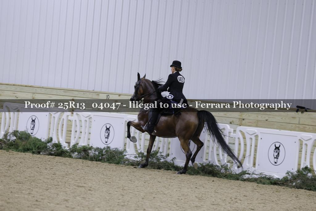 Proof 25R13_04047