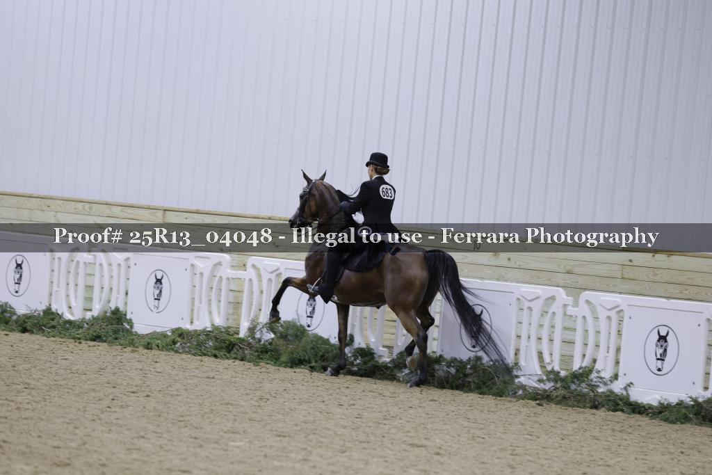 Proof 25R13_04048