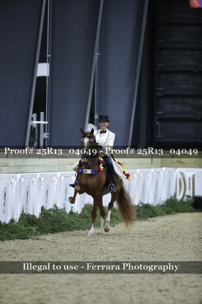 Proof 25R13_04049