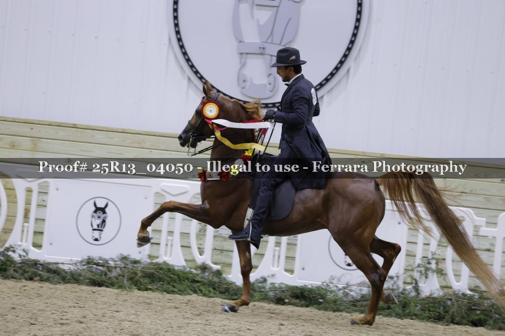 Proof 25R13_04050