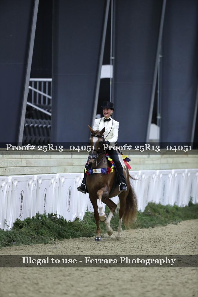 Proof 25R13_04051