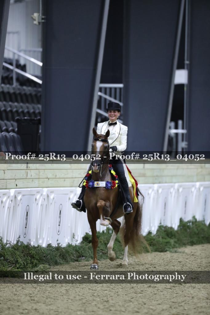 Proof 25R13_04052