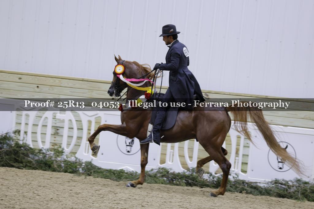 Proof 25R13_04053