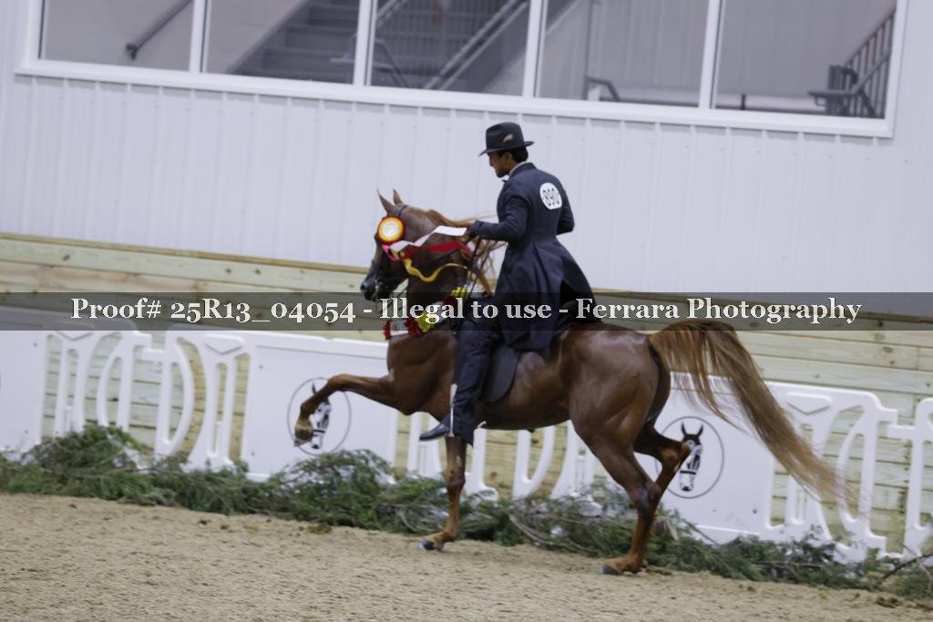 Proof 25R13_04054