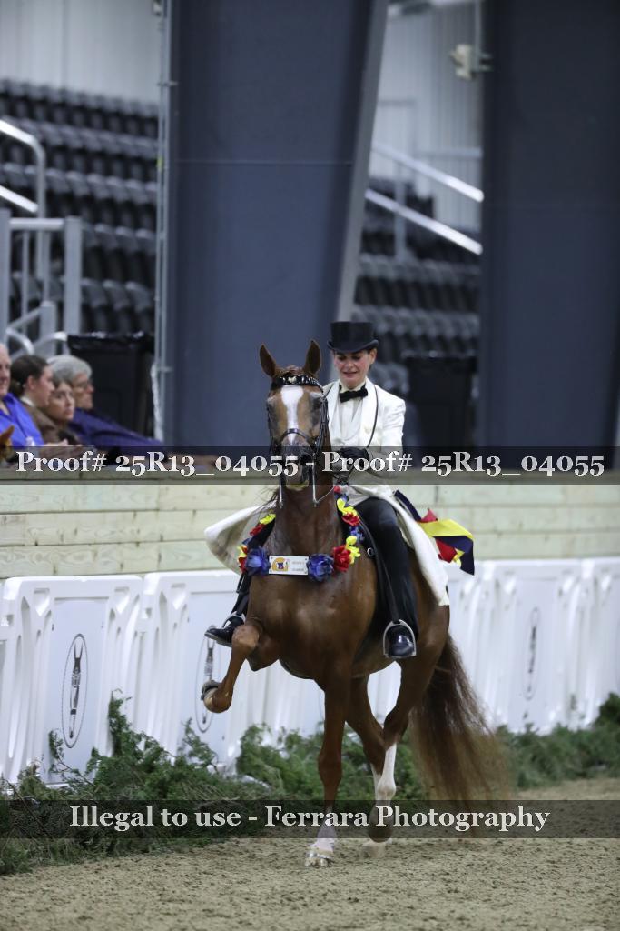 Proof 25R13_04055