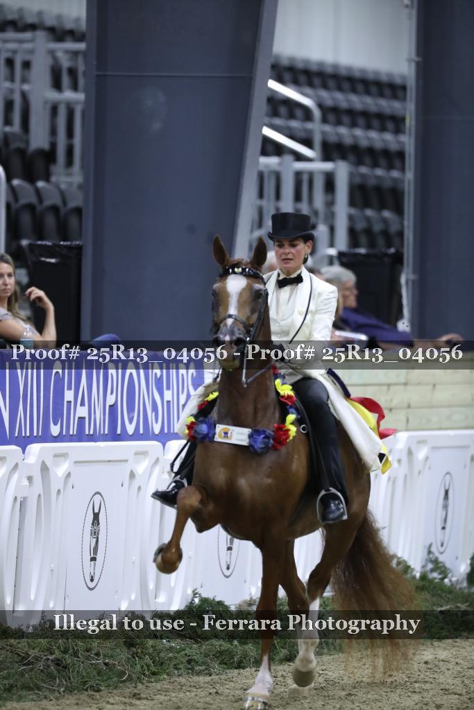 Proof 25R13_04056