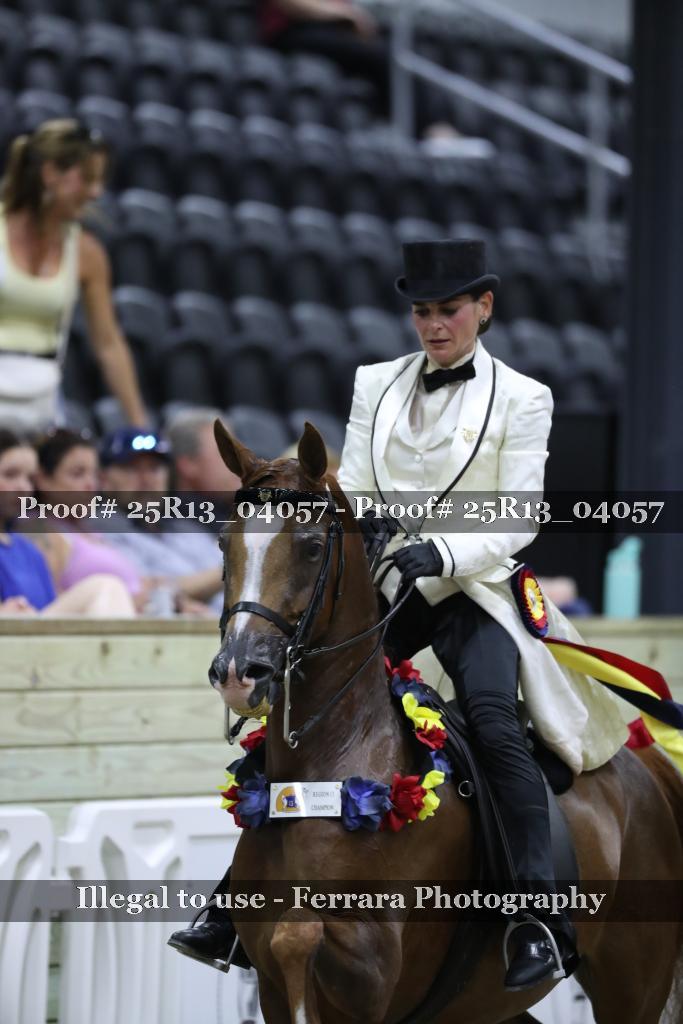Proof 25R13_04057